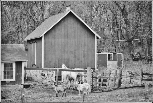 Wisconsin farms reflect diversity even then